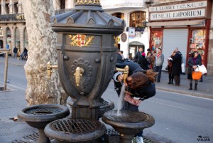 Beber en la Fuente de Canaletes es toda una tradición. Barcelona