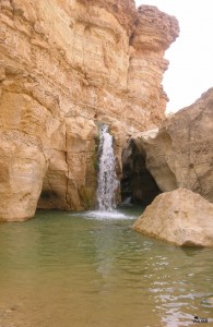 Gran cascada del oasis de Tamerza. Túnez