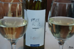 Degustando un vino de la región de Emilia-Romagna
