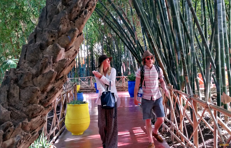 Turistas en el Jardin Majorelle. Marrakech