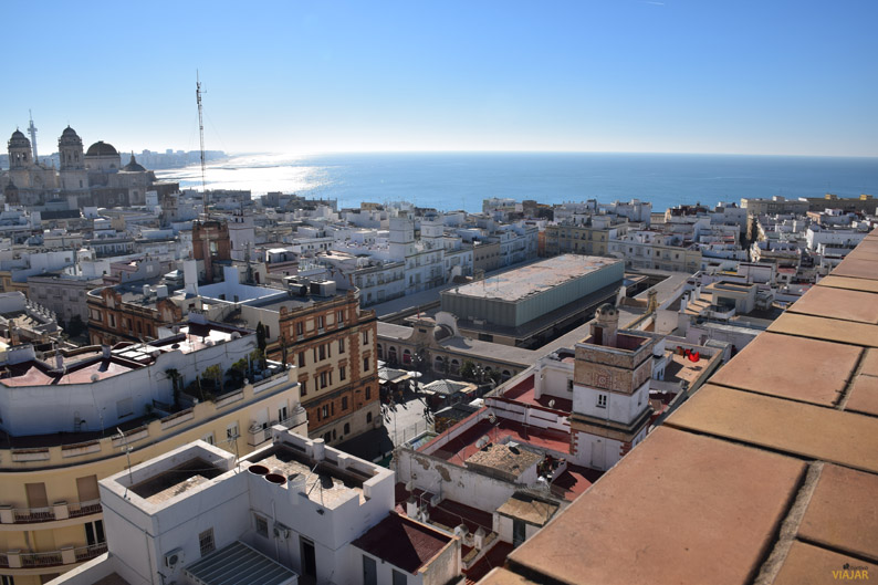 Cádiz a vista de pájaro desde la Torre Tavira