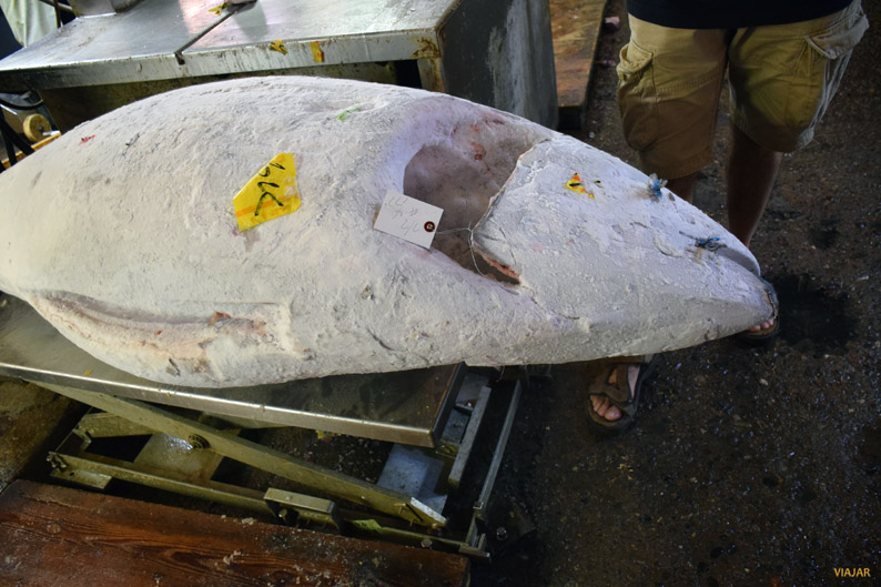Un atún enorme en el mercado Tsukiji